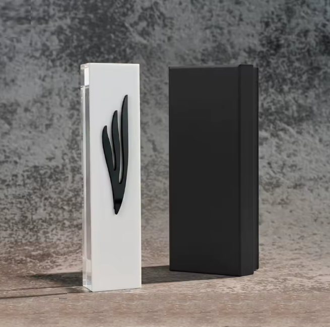 בית מזוזה לבן בעיצוב שחור/כסוף